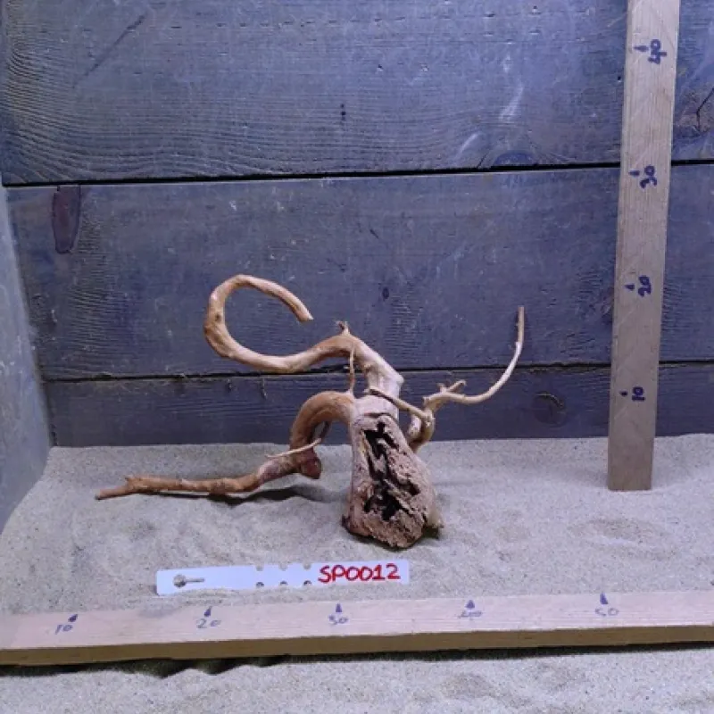 Spiderwood SP0012