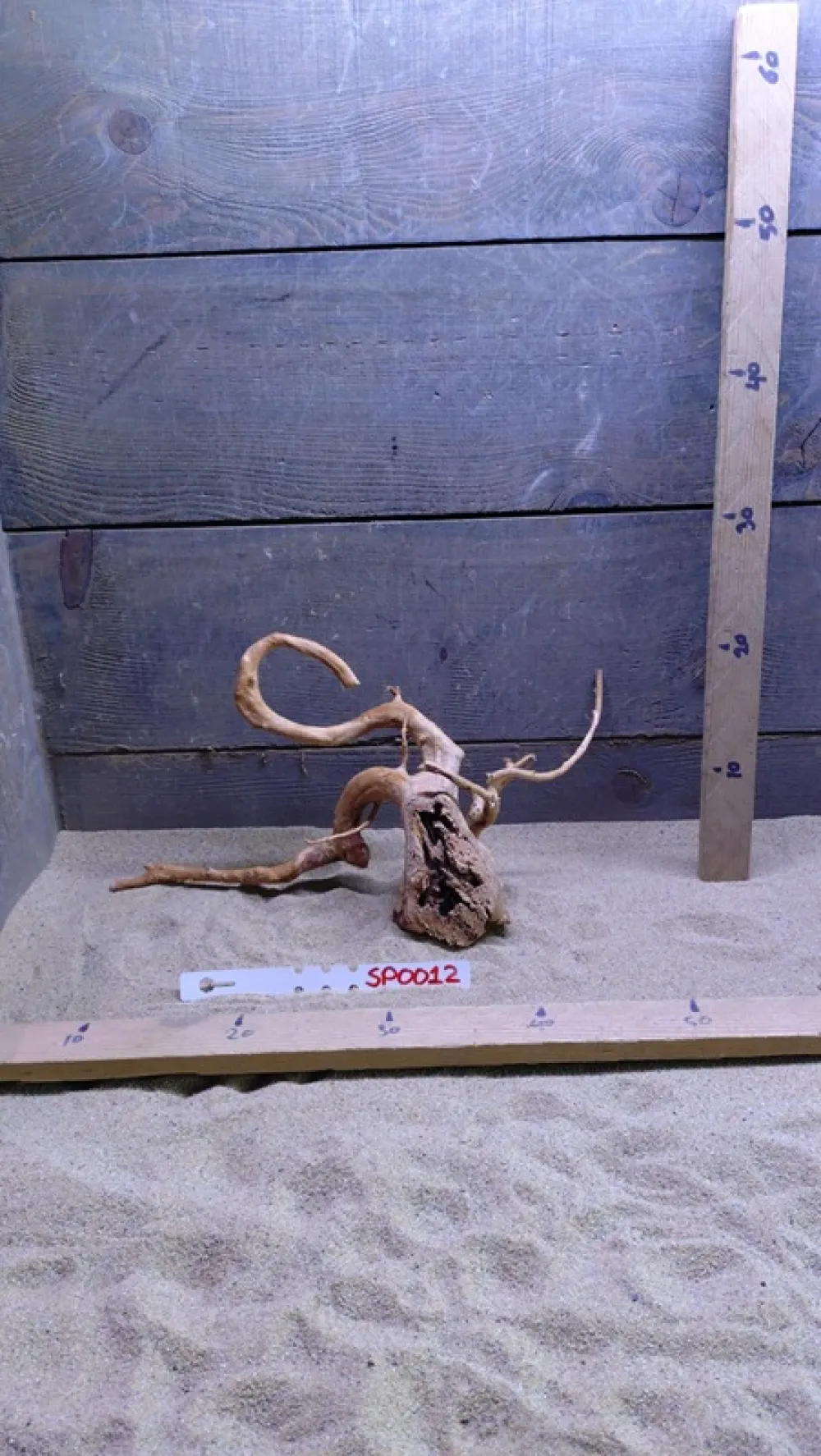 Spiderwood SP0012