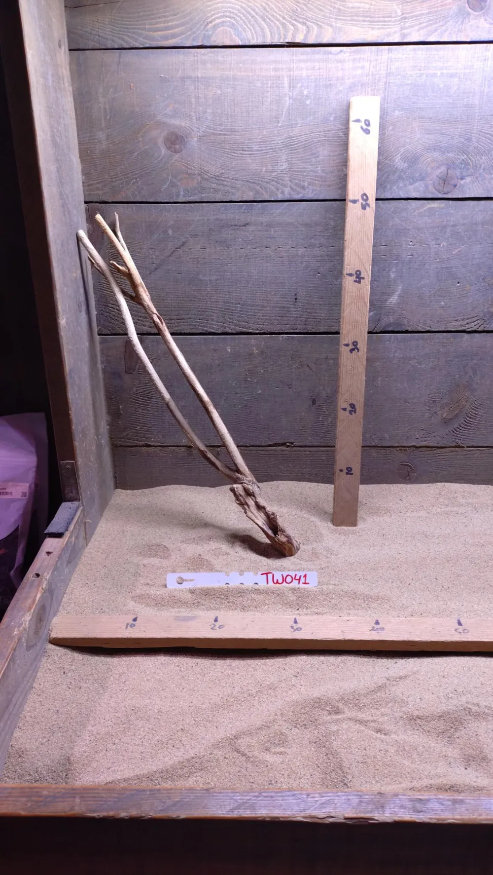 Talawa Wood TW041