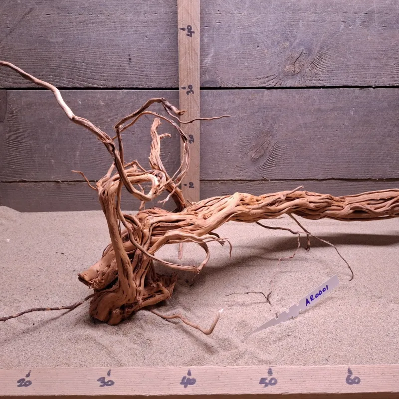 Azalea Root AR0001