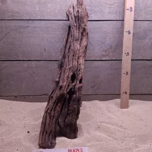 Hornwood HW043
