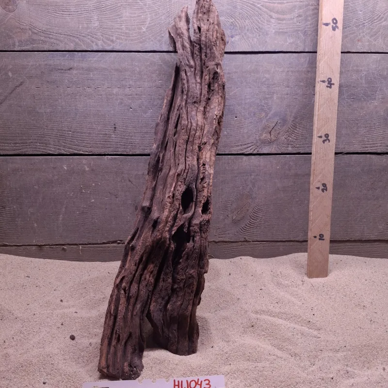 Hornwood HW043