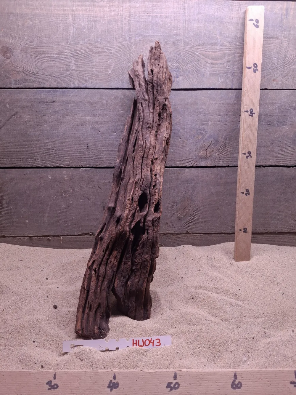 Hornwood HW043