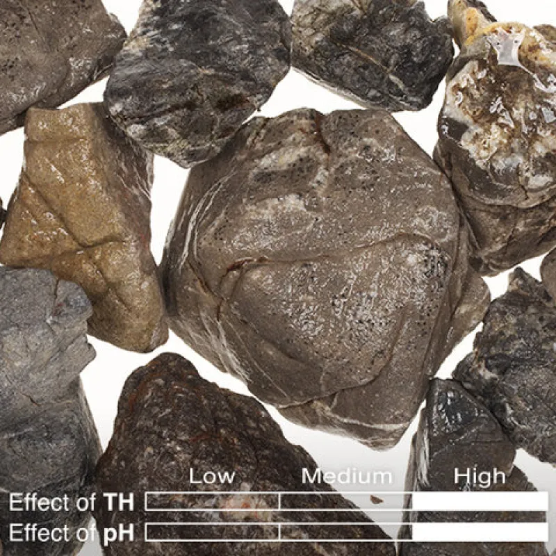 ADA DOOA KUMU layout materials | ST-04 Lichen Stone 400g