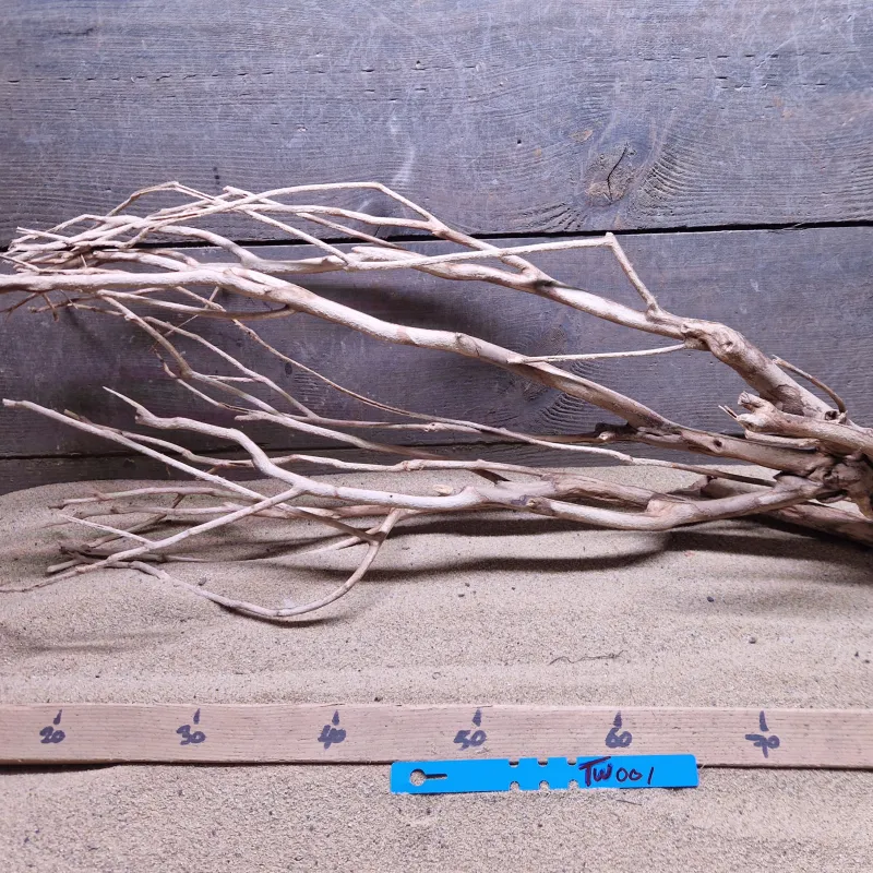 Talawa Wood TW001