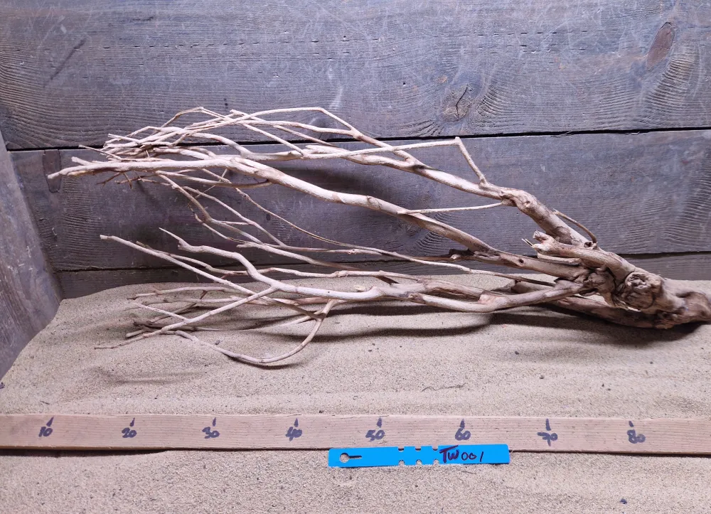 Talawa Wood TW001