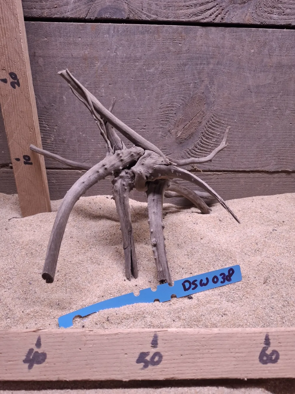 Dark Spiderwood DSW038