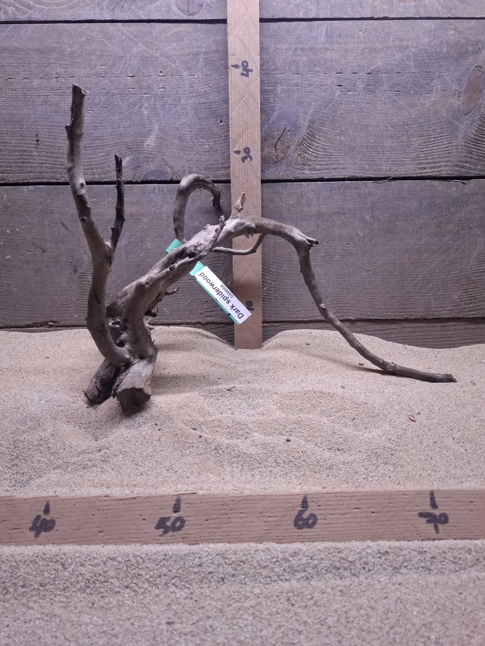 Dark Spiderwood DSW009