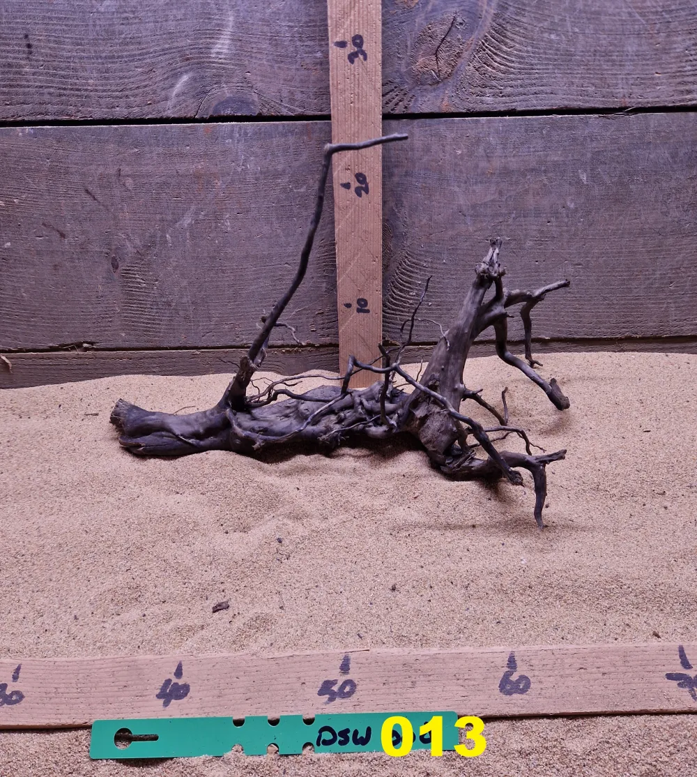 Dark Spiderwood DSW013