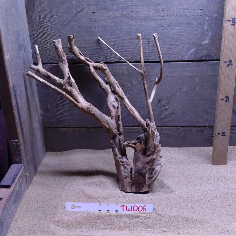 Talawa Wood TW006