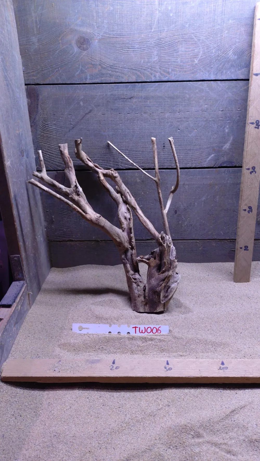 Talawa Wood TW006