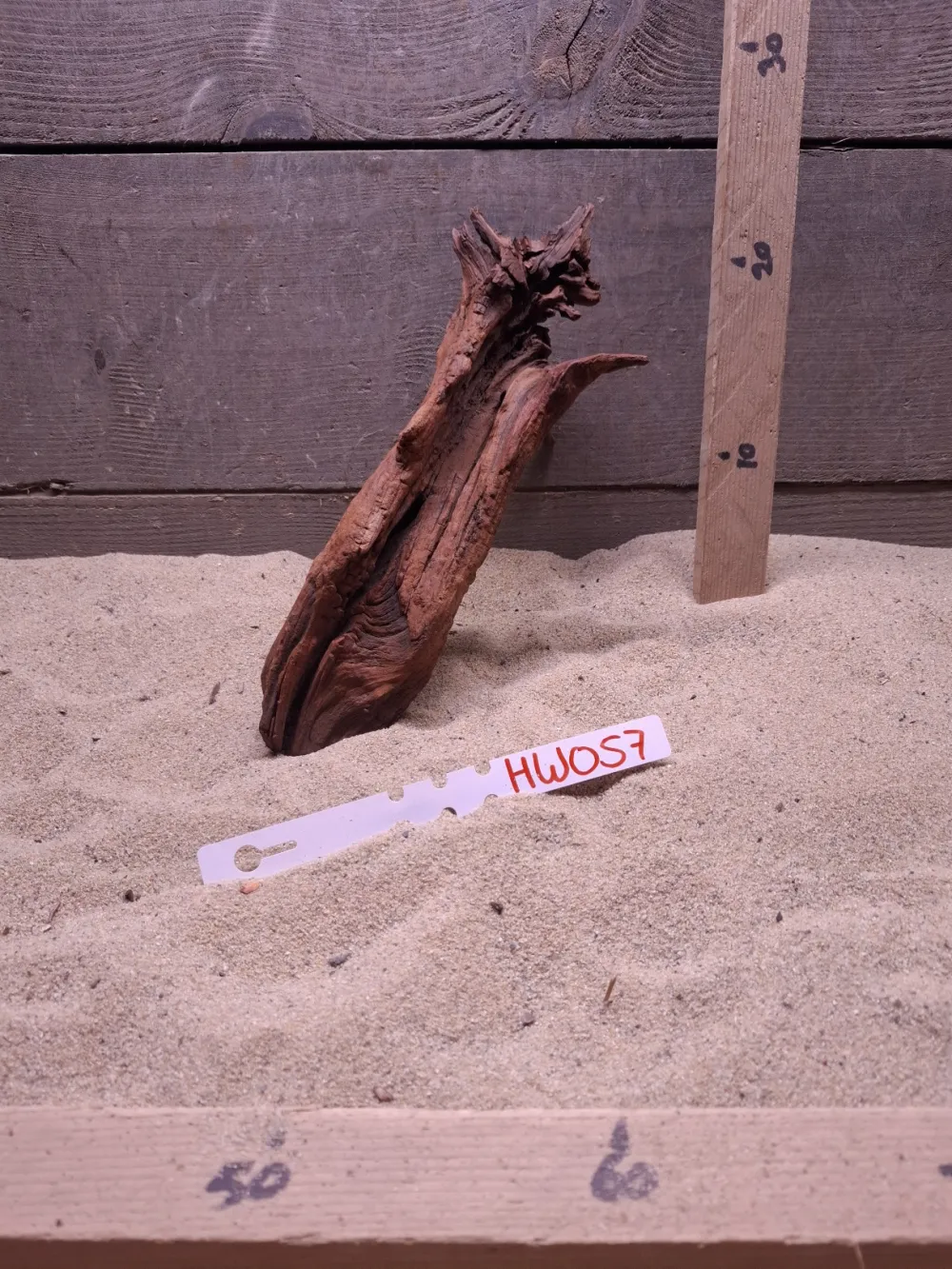 Hornwood HW057