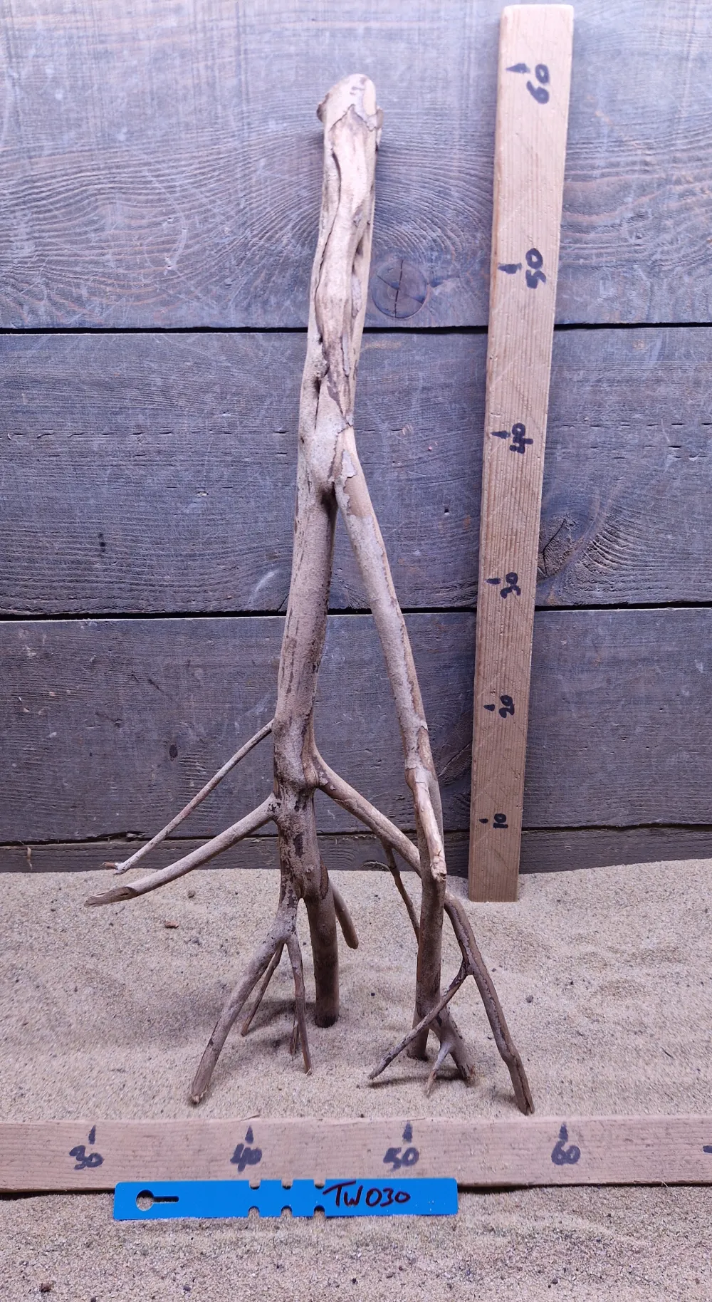 Talawa Wood TW030
