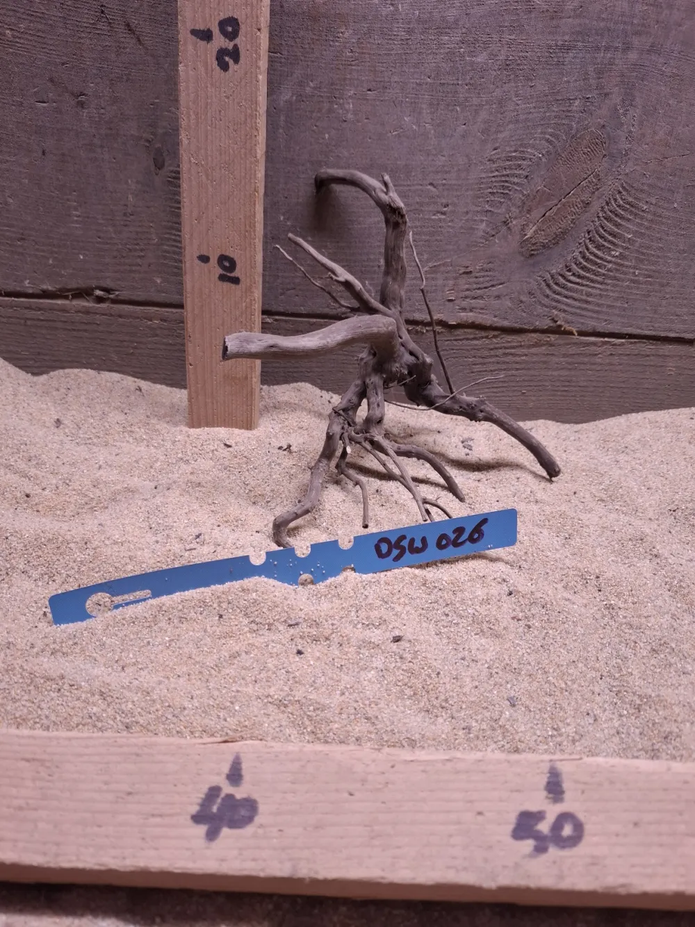 Dark Spiderwood DSW026