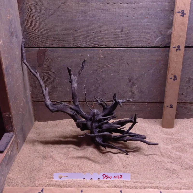 Dark Spiderwood DSW022