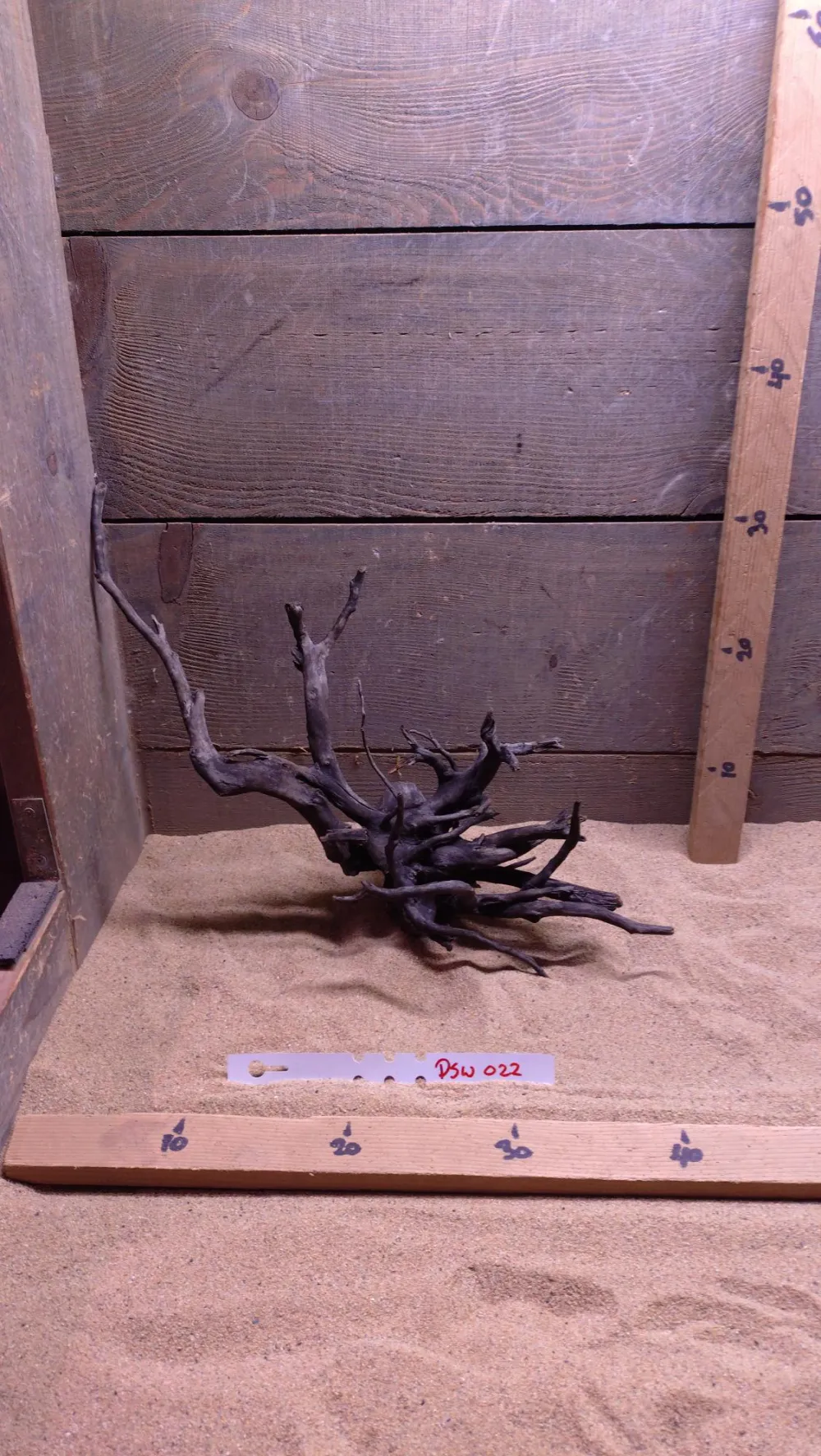 Dark Spiderwood DSW022