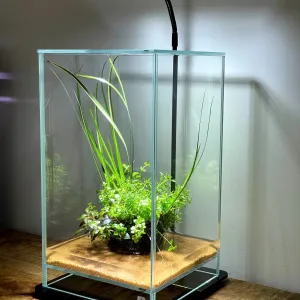 OPAquatics Dirt Ball