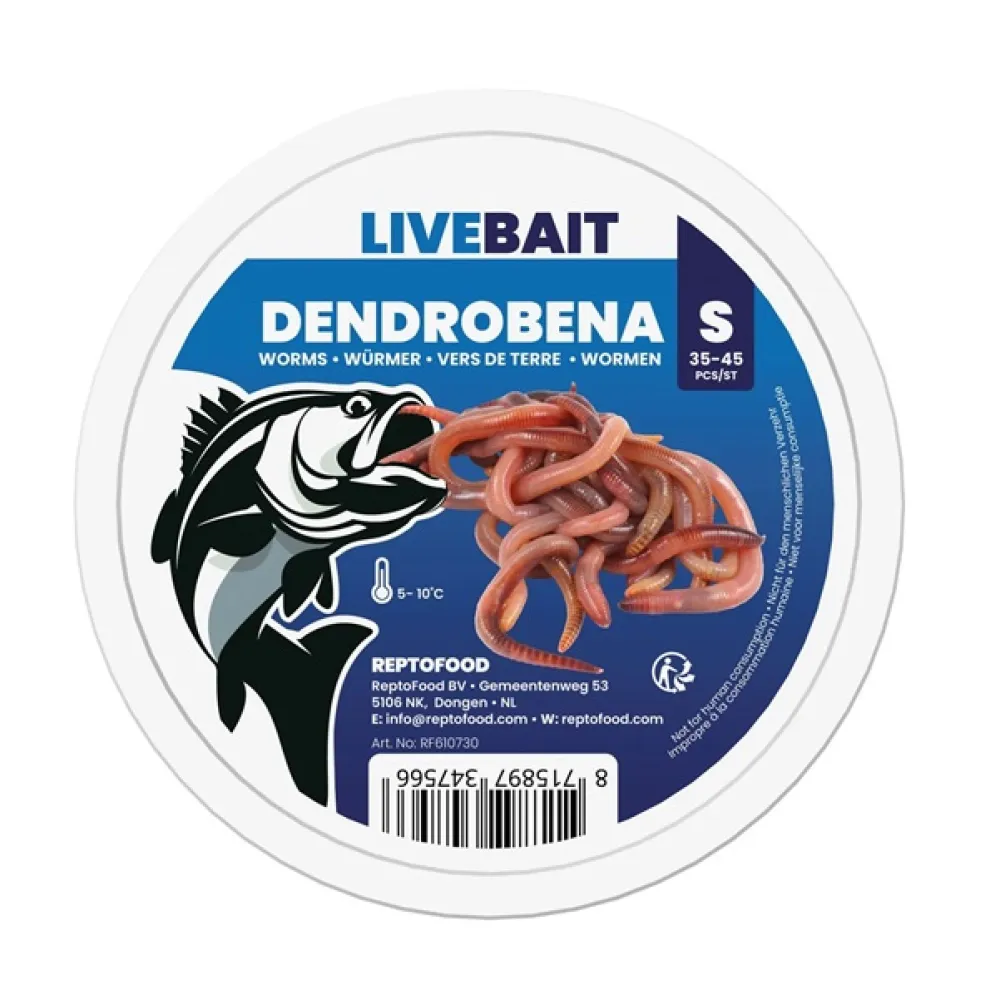 Wormen - Dendrobena S 35-45 stuks