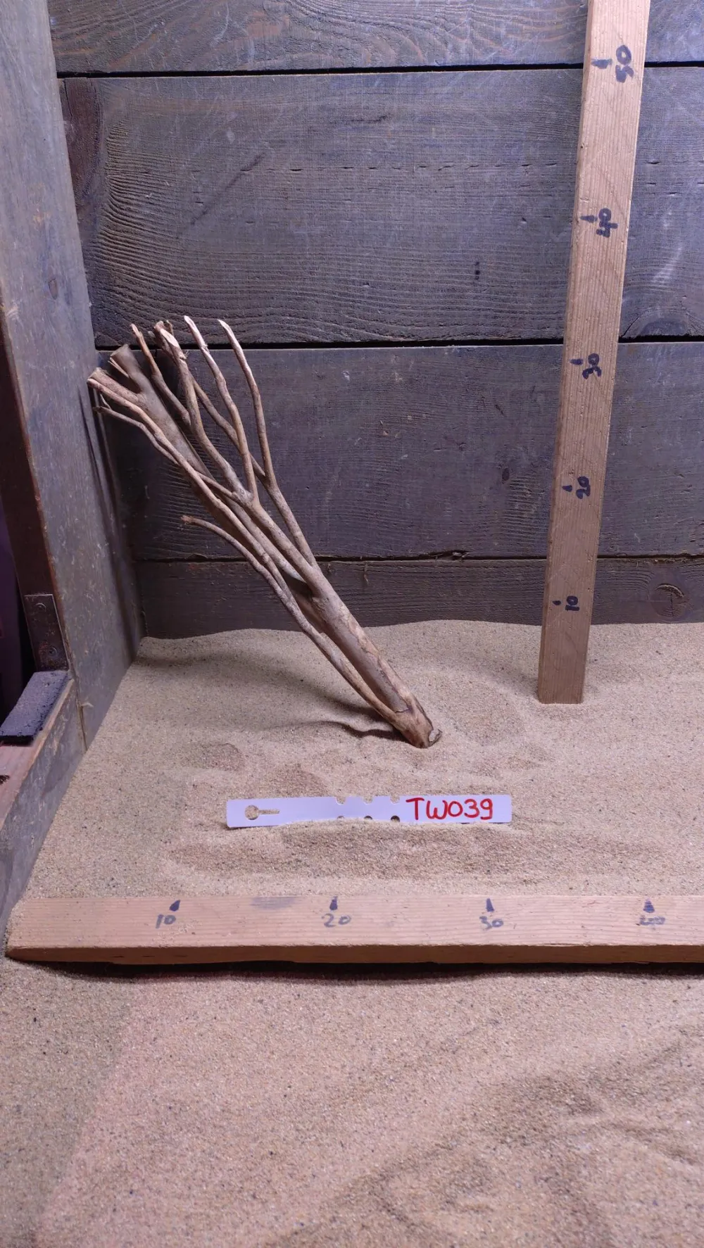 Talawa Wood TW039