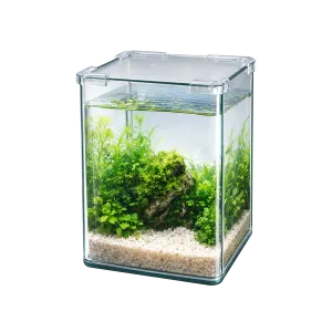 Superfish Crystal Cube 10