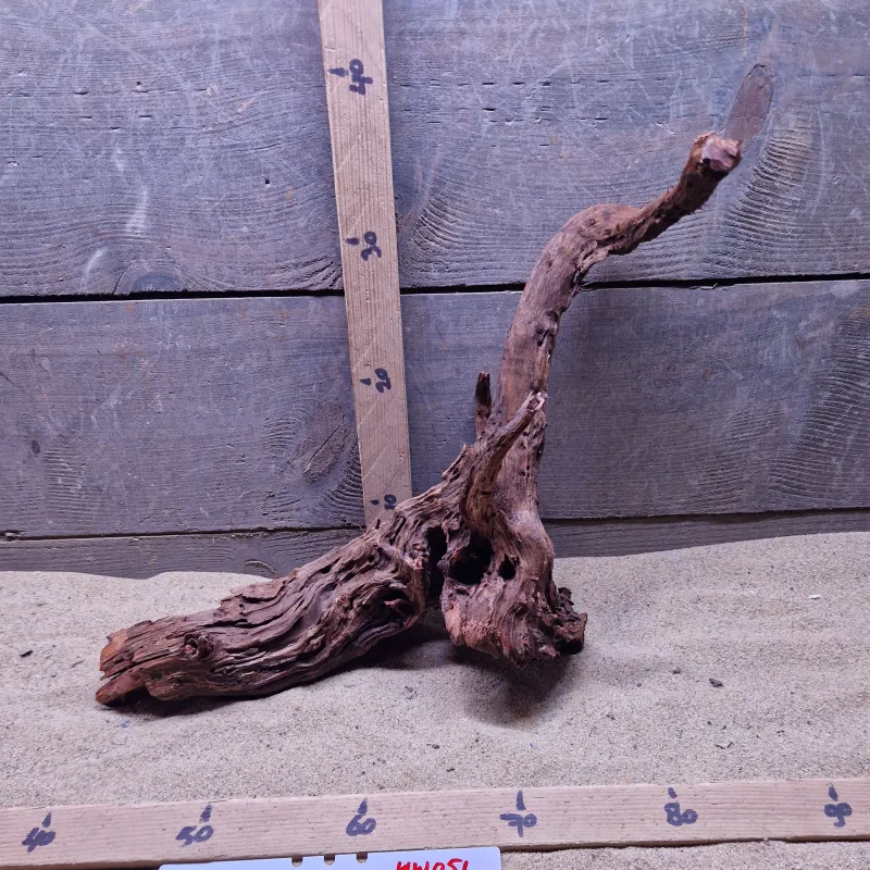 Hornwood HW051