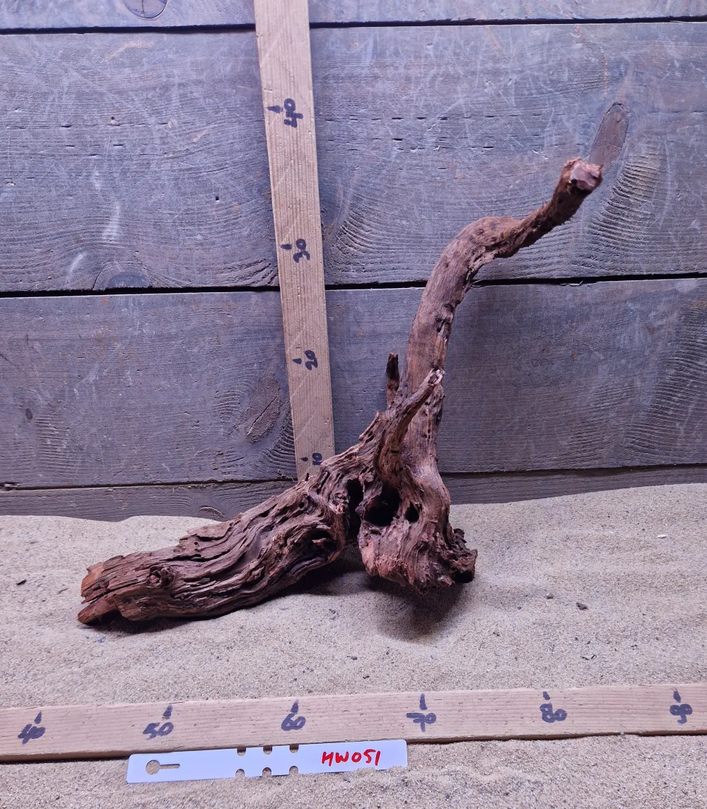 Hornwood HW051