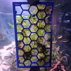 Moss Grid| 10 x 10 Mini