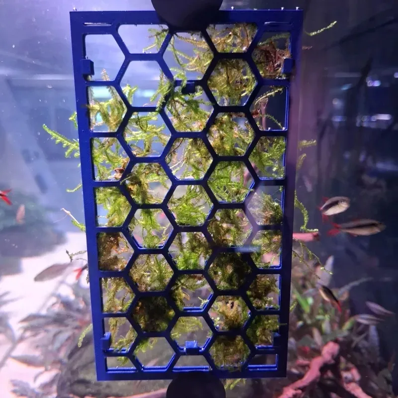 Moss Grid| 10 x 10 Mini