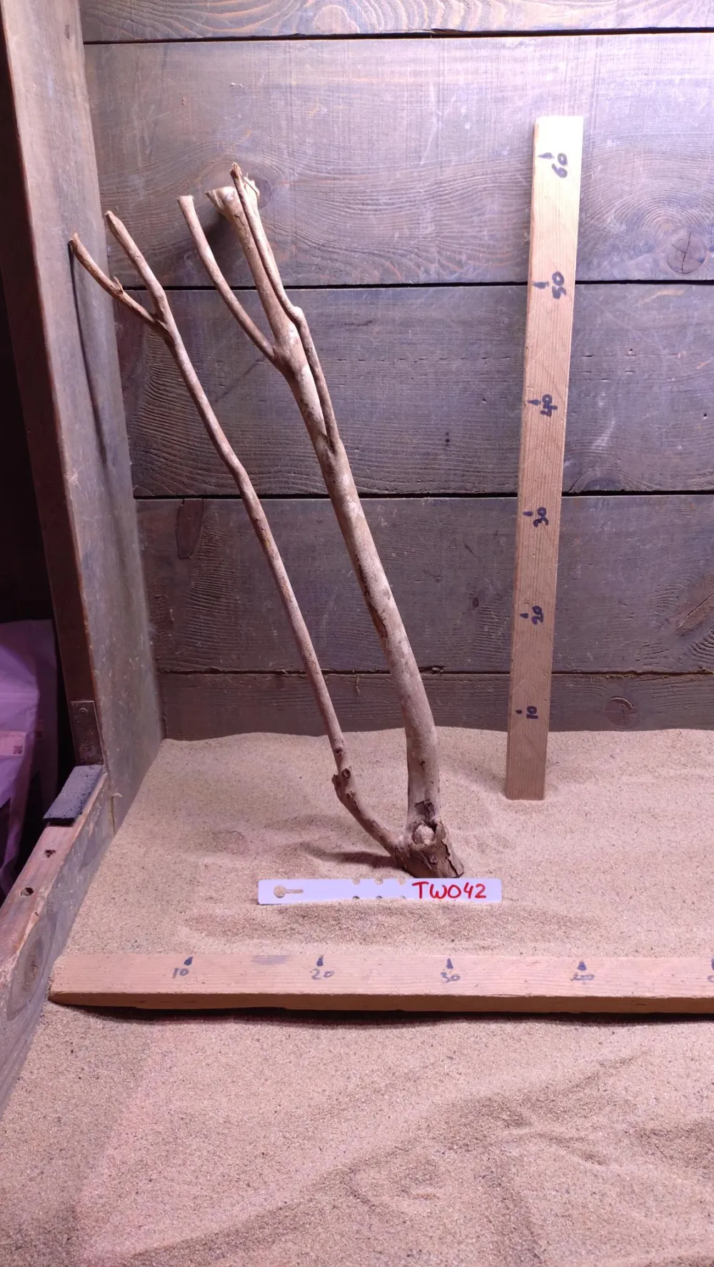 Talawa Wood TW042