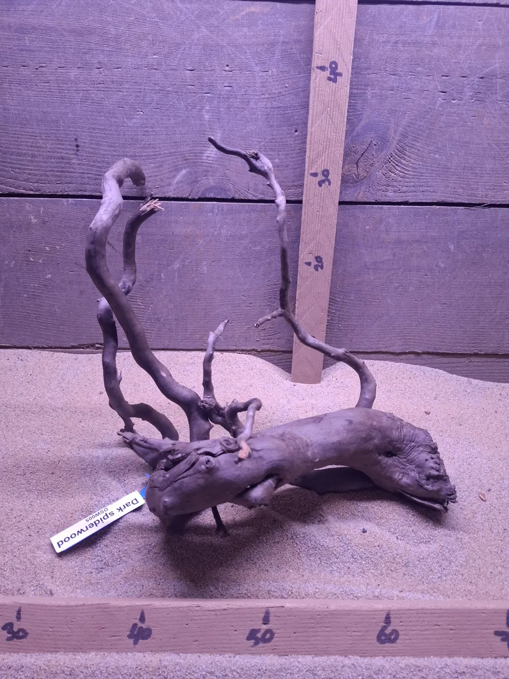 Dark Spiderwood DSW005