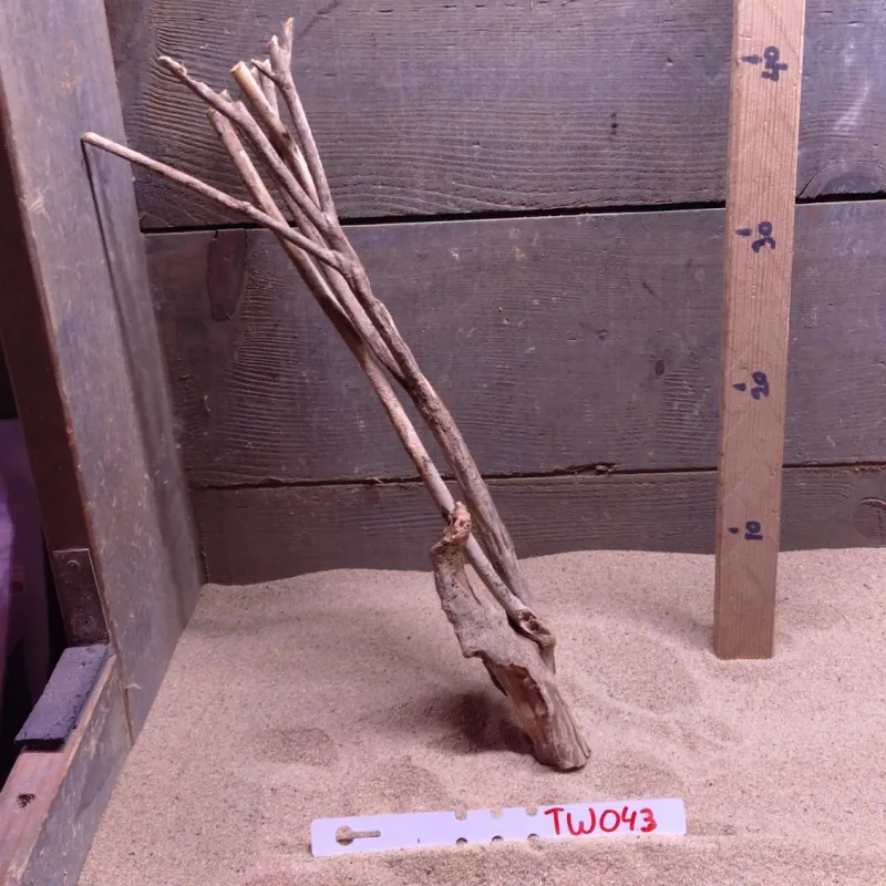 Talawa Wood TW043
