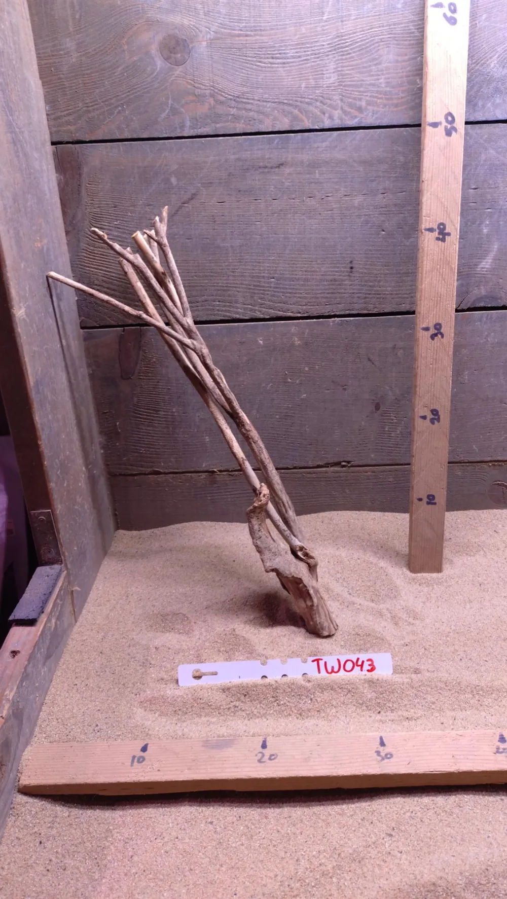 Talawa Wood TW043