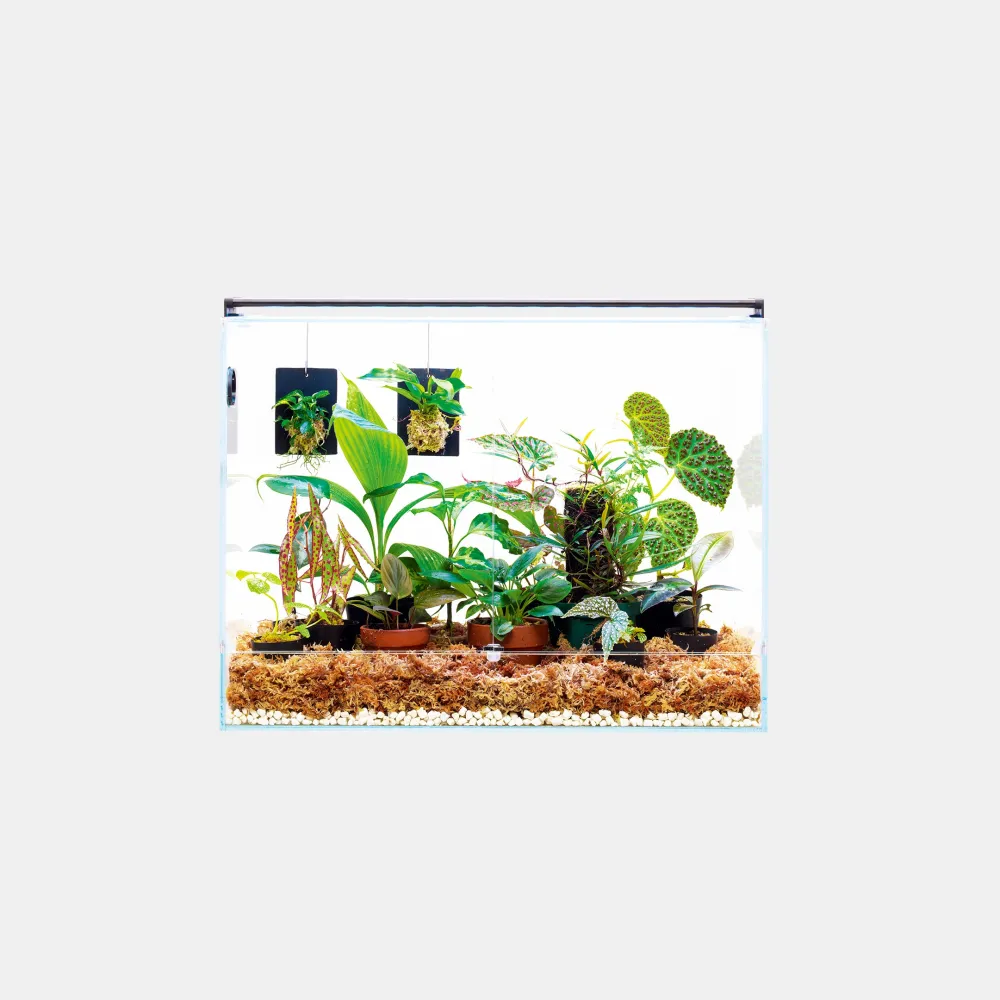 DOOA Neo Glass Paluda 600