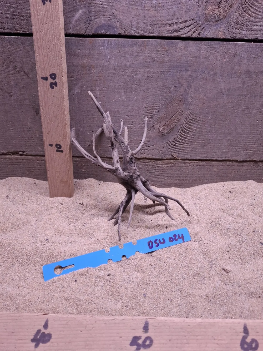 Dark Spiderwood DSW024
