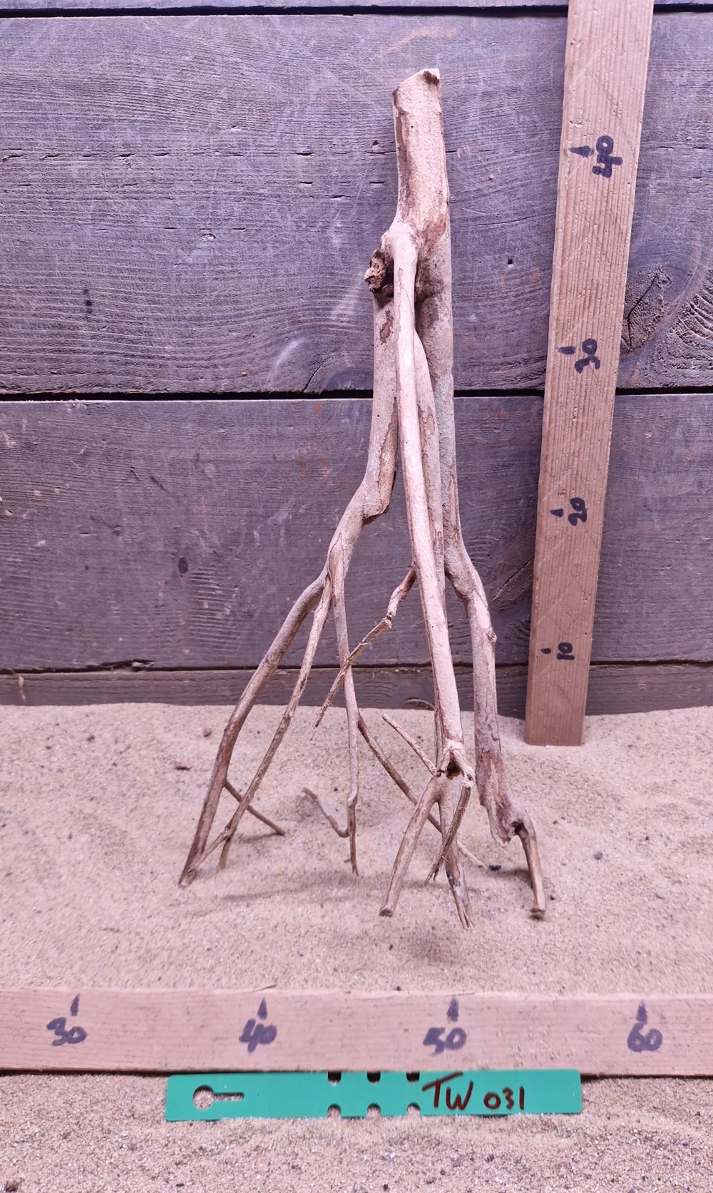 Talawa Wood TW031