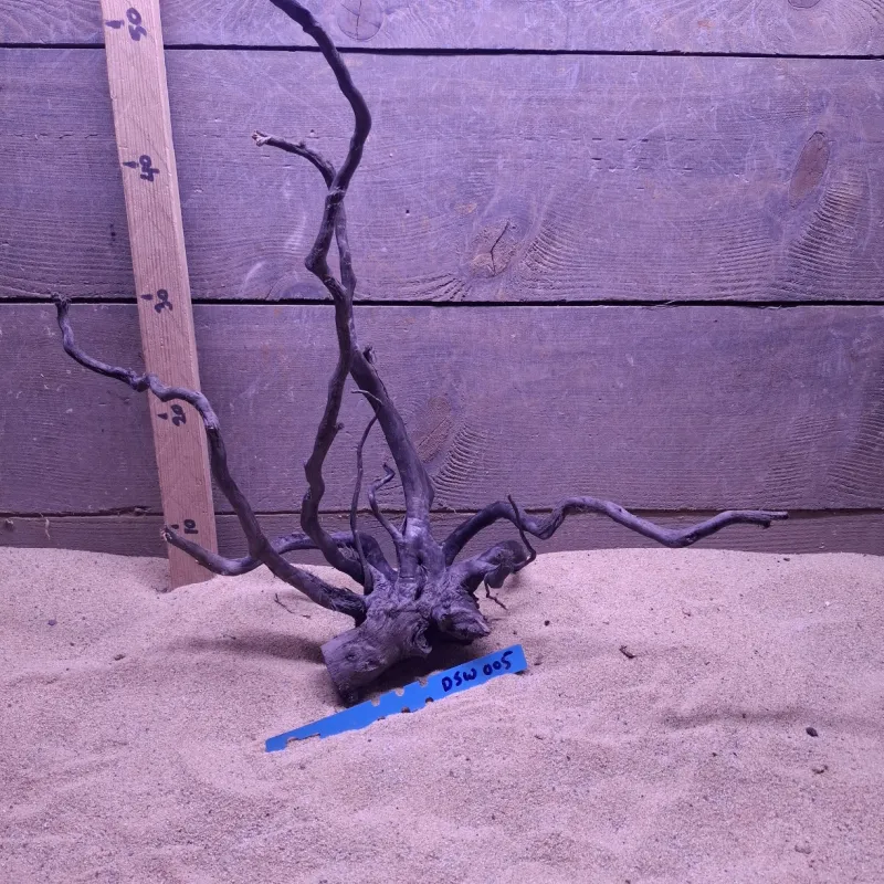 Dark Spiderwood DSW005