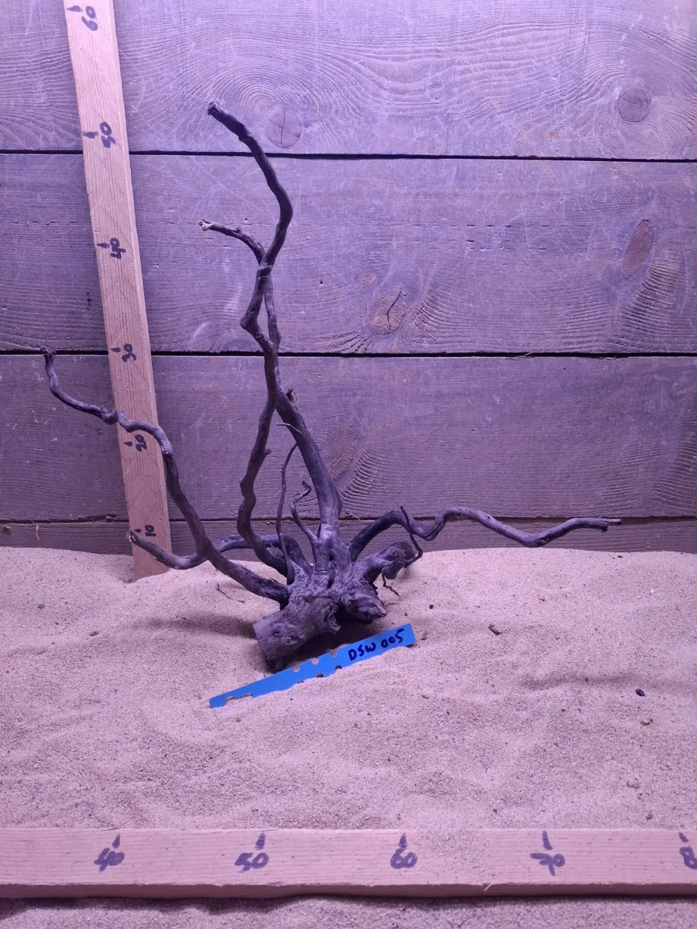 Dark Spiderwood DSW005