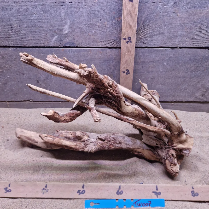 Talawa Wood TW007