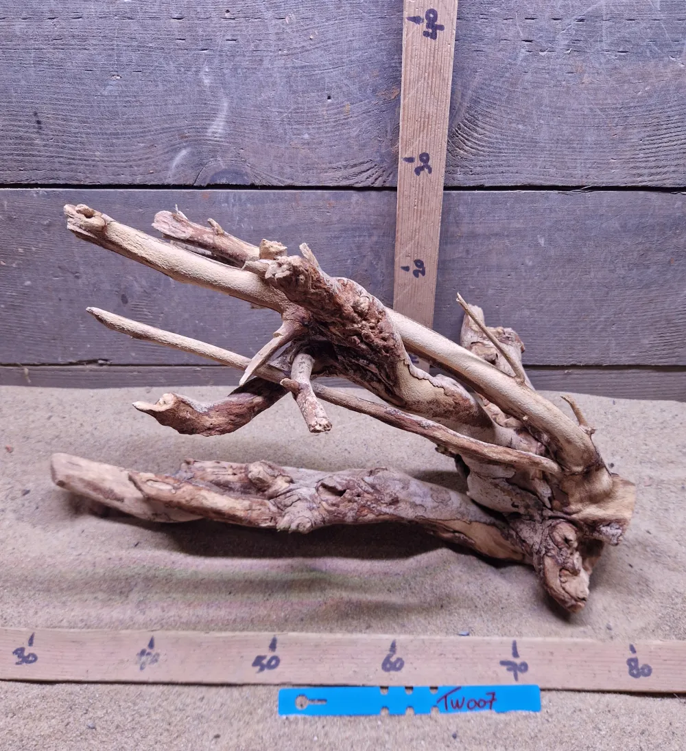 Talawa Wood TW007