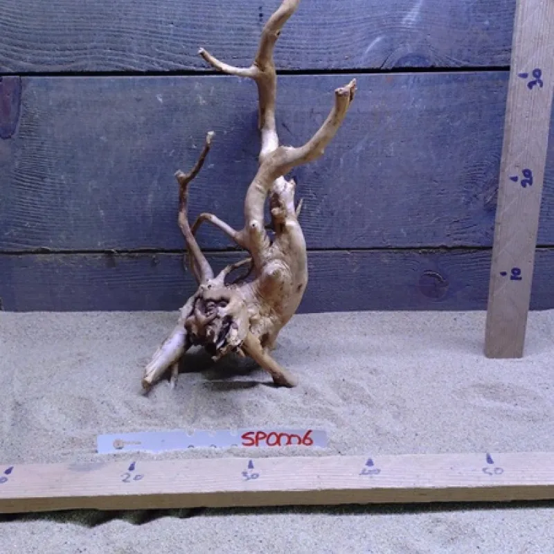 Spiderwood SP0006