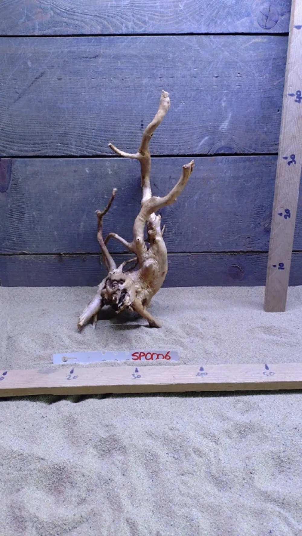 Spiderwood SP0006