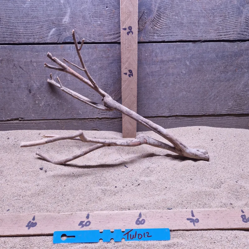 Talawa Wood TW012