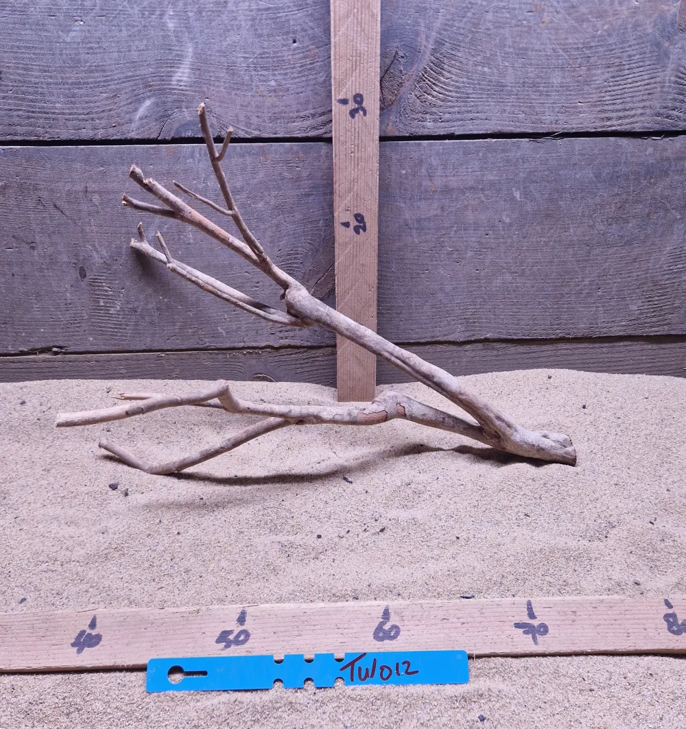 Talawa Wood TW012