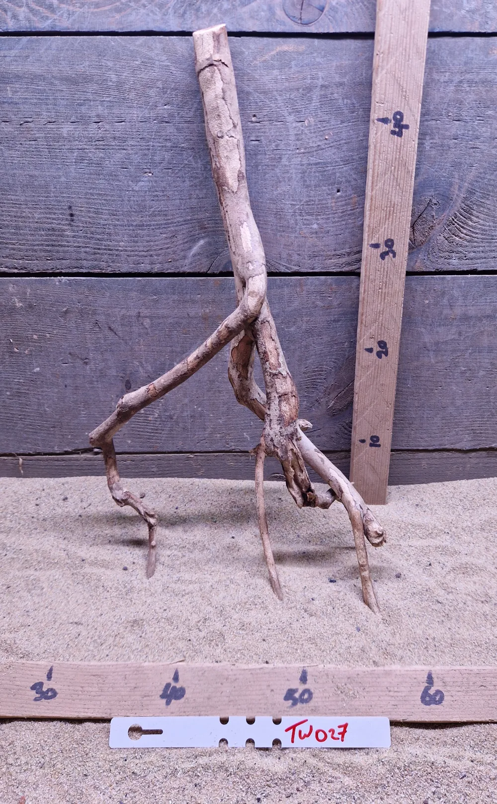 Talawa Wood TW027