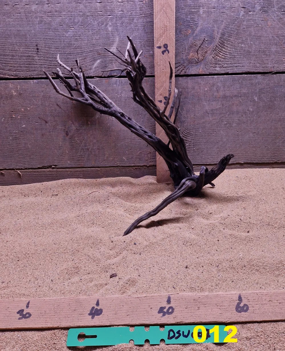 Dark Spiderwood DSW012