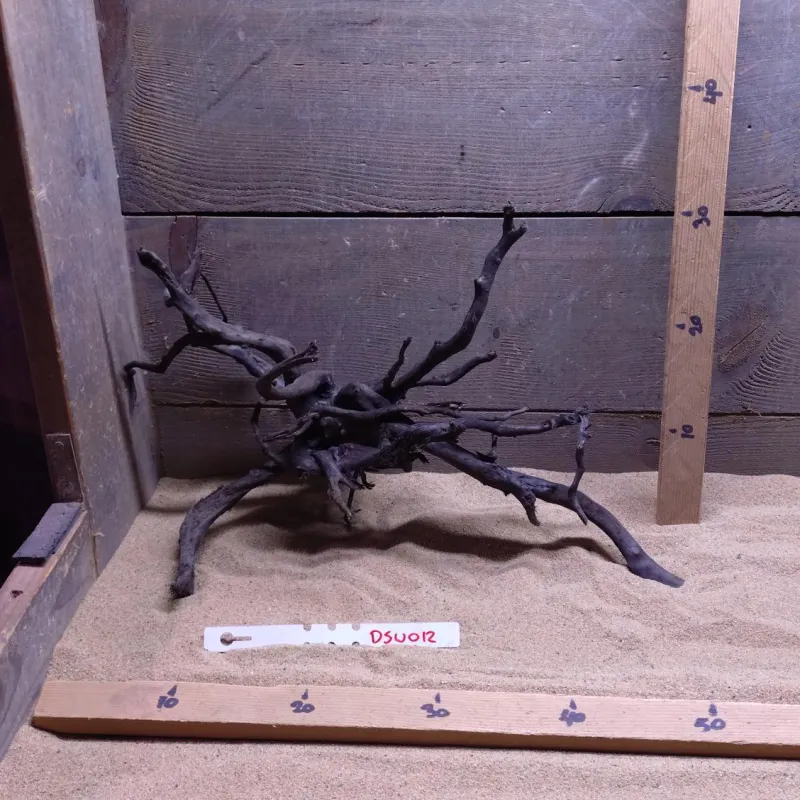 Dark Spiderwood DSW012