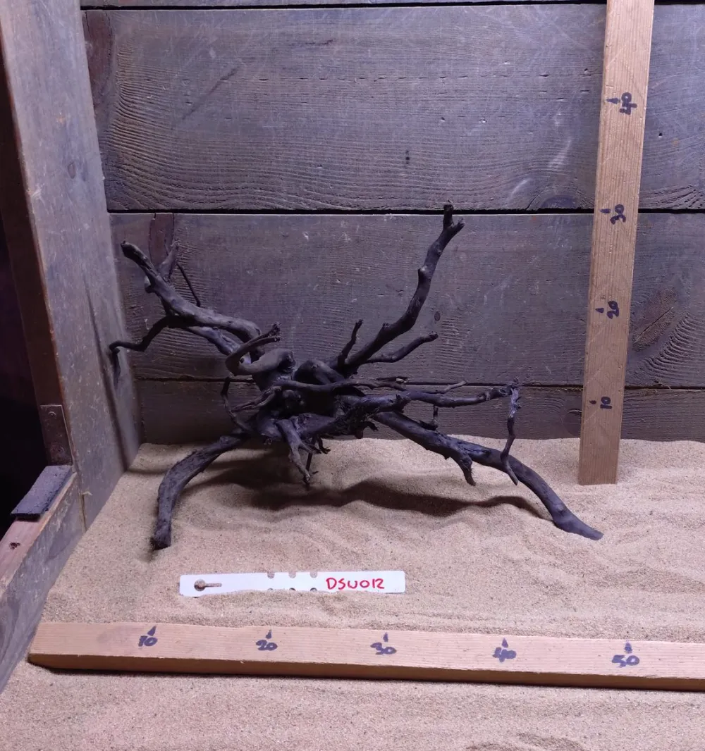 Dark Spiderwood DSW012