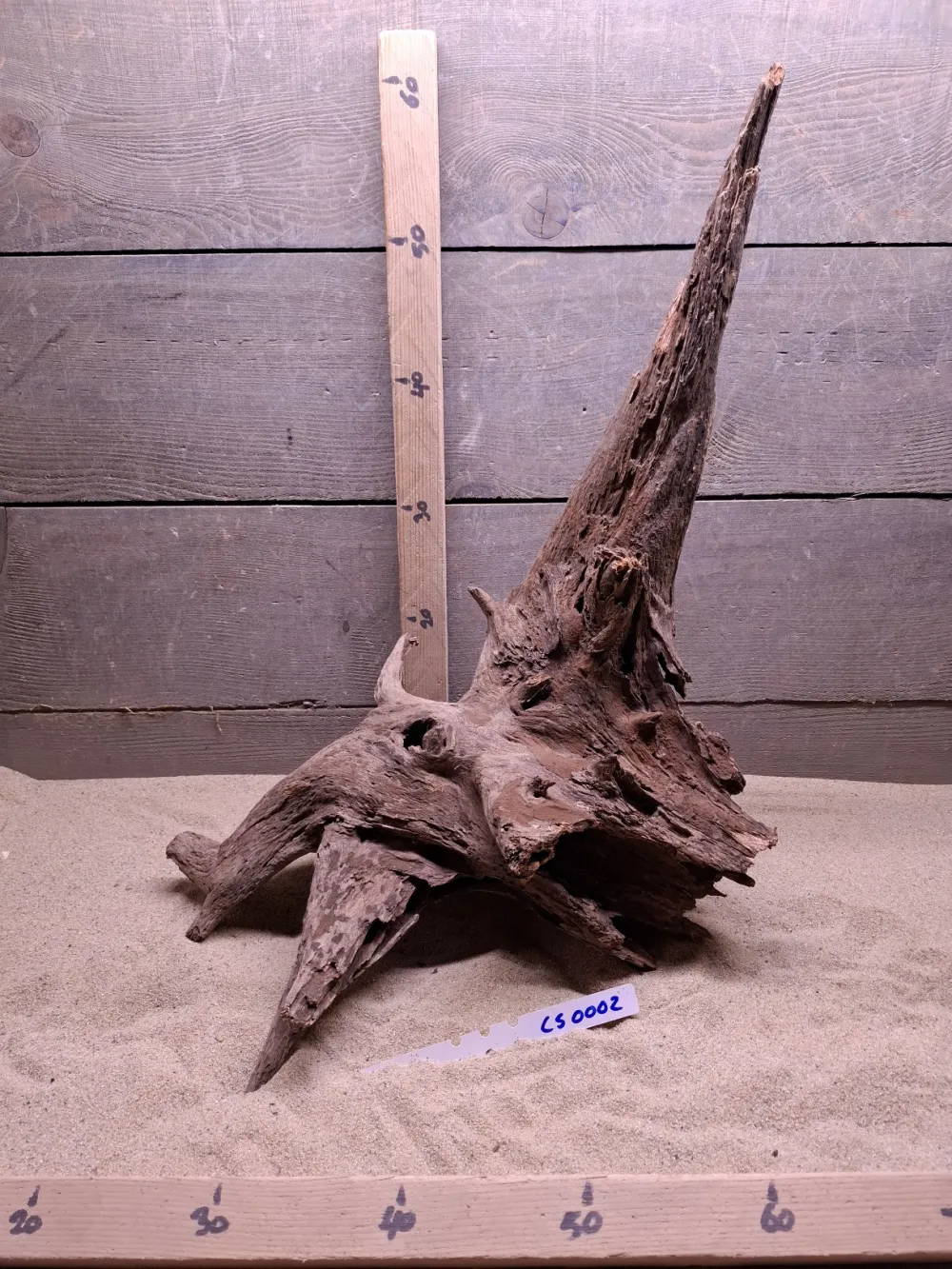Corbo Root CS0002