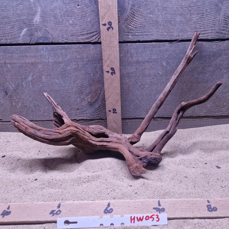 Hornwood HW053