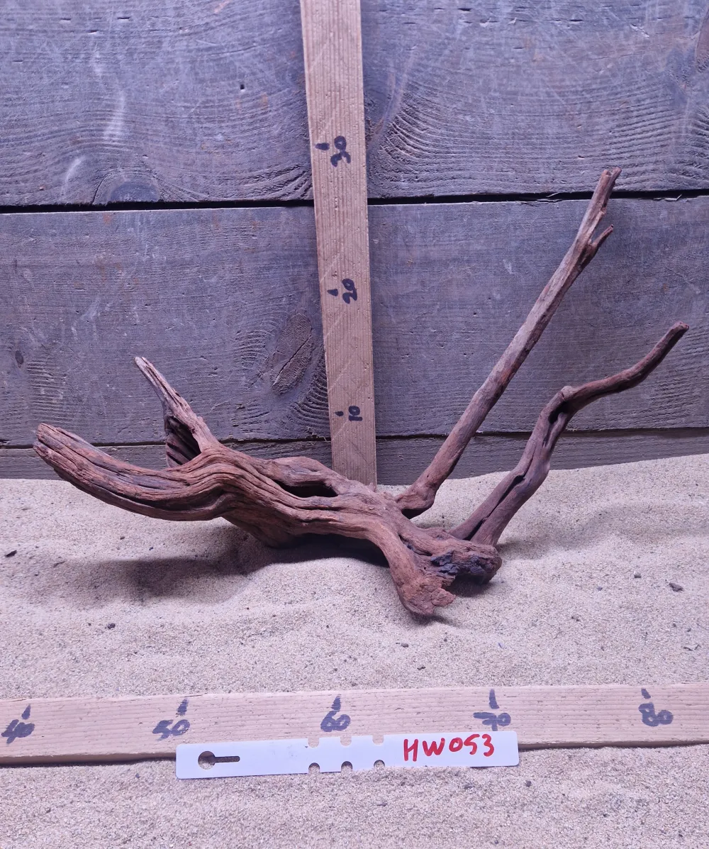 Hornwood HW053